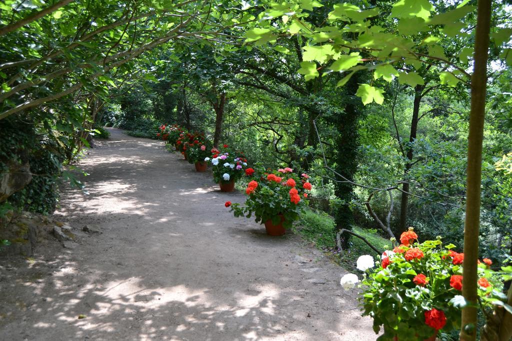 Vallon-en-Sully Chateau De Peufeilhoux المظهر الخارجي الصورة